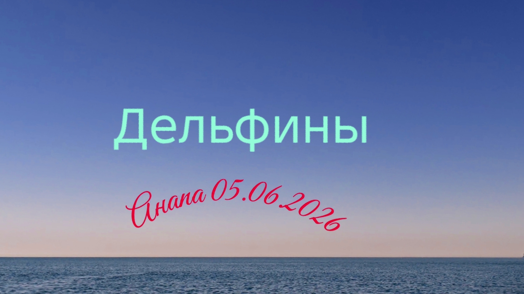 Анапа 05.06.2026 Дельфины