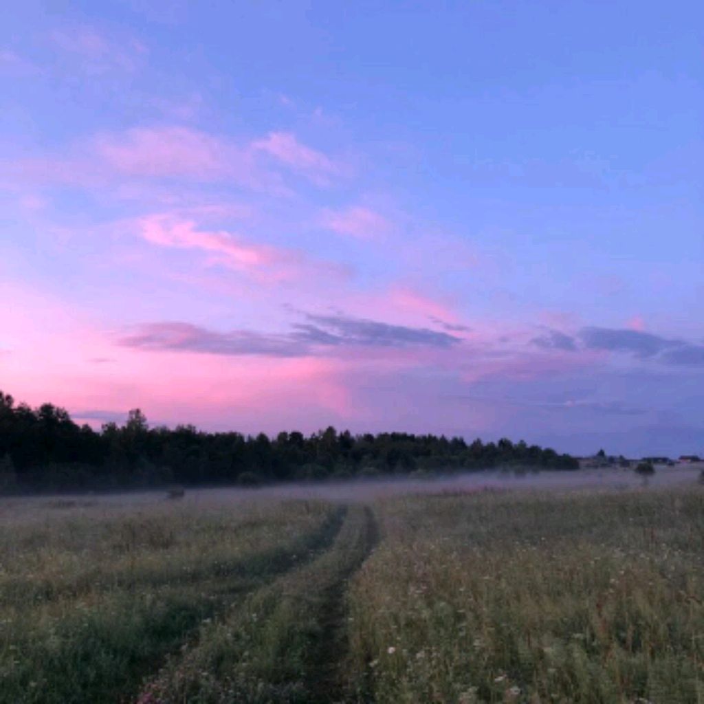 летний вечер