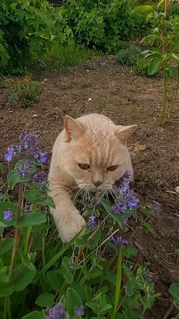 НАРКОТ😻