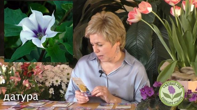 Какие цветы посеять на рассаду в марте.