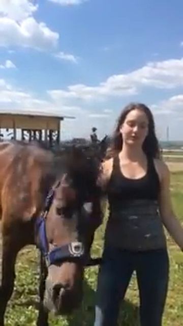Видео-отзыв Спортсменки конника Ксении о применении Lactis Zoo
