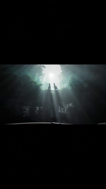 The Lost Wild