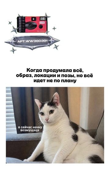 Плёночный фотоаппарат на 36 кадров (Артикул WB: #WW360391)💕