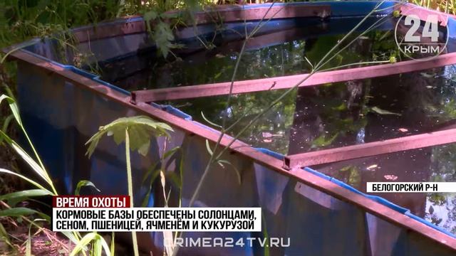 Время охоты: с 1 июня в Крыму стартовал сезон охоты на кабанов