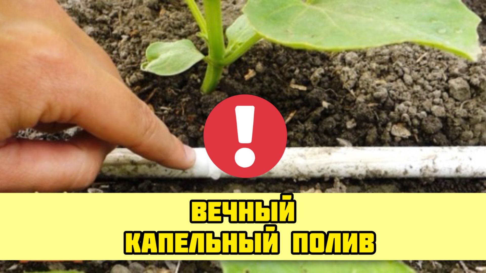 Вечный капельный полив СВОИМИ РУКАМИ! Сделай себе такой