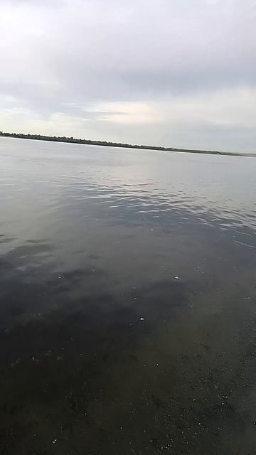 Рыбалка с утра: караси жирные
