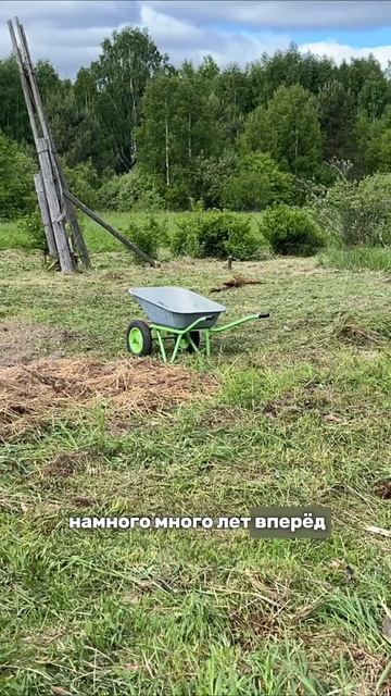 5 серия: выбор между строительством и готовым домиком в деревне почему именно избушка?
