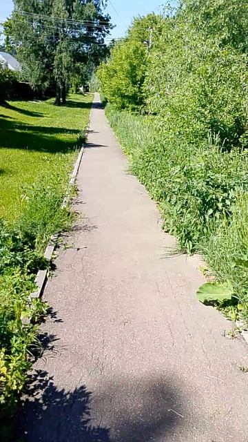 Идëм на речку 05.06.26.