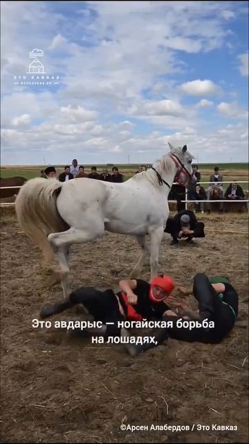 Борьба на лошадях