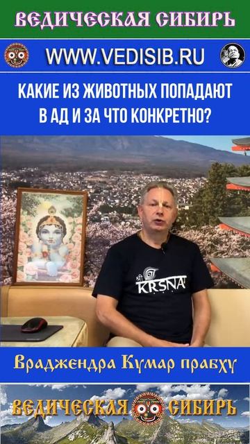 Какие из животных попадают в Ад и за что конкретно?