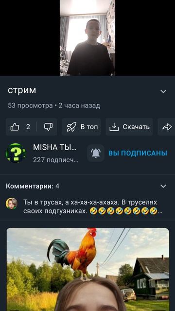 видео, где подписчик взял и задал сделать 20 приседаний в Мише тыкве в одних трусах.