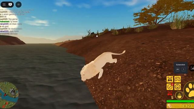 видео из Ютуба ! Саванна лайф | Savanna Life