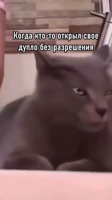 #приколы