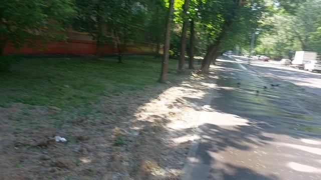 1001591228.mp4