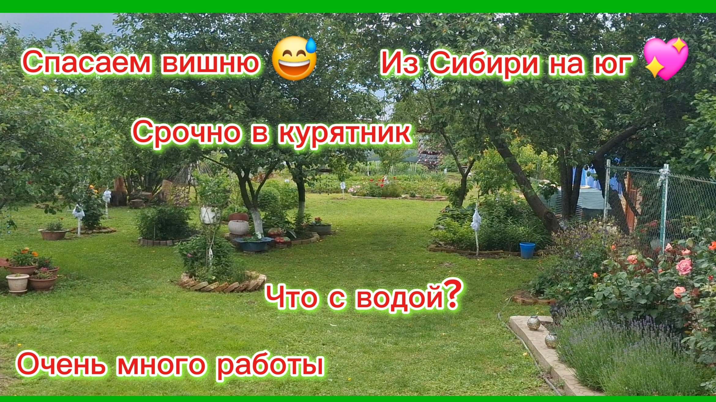 05-06-2026/Краснодарский край/Мечты сбываются!!!/Что с водой?/Прополка/Затенёнка/Срочно в курятник/