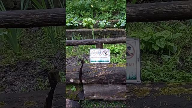 Лето- маленькая жизнь 😉🌿🍀☘️(05.06.26). Остановка у озера на утренней пробежке 😃🤏🐌👀😂