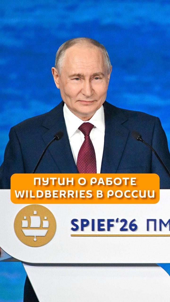 Путин о работе Wildberries в России