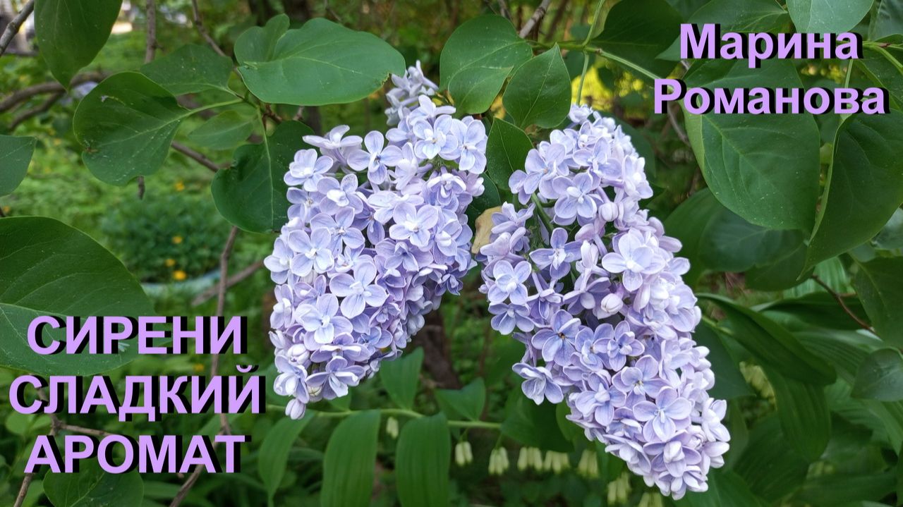 © Марина Романова 
