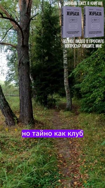 Про идеальный проект, которому точно дадут денег 2