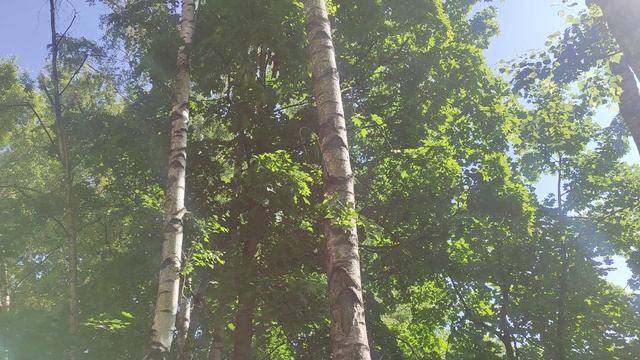 5 июня магический ☀️ прогноз погоды от волшебника Ивана Ивановича Кулебякина из Москвы