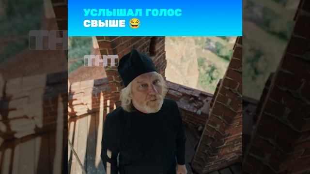 Жуки
