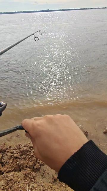 #рыбалка