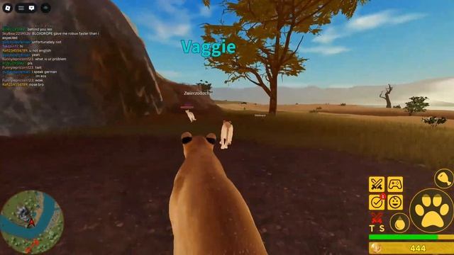видео из Ютуба ! Саванна лайф | Savanna Life
