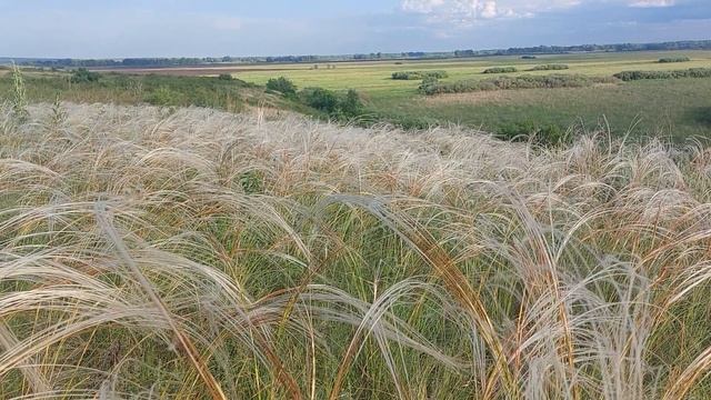 Природа Оренбуржского края