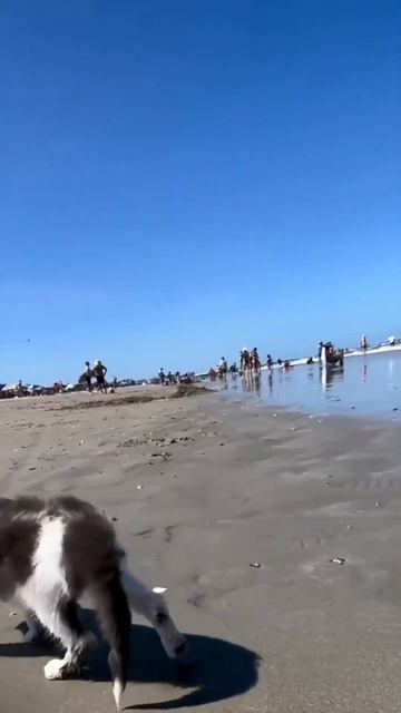 Мечтаю только об этом! 🏖️😍