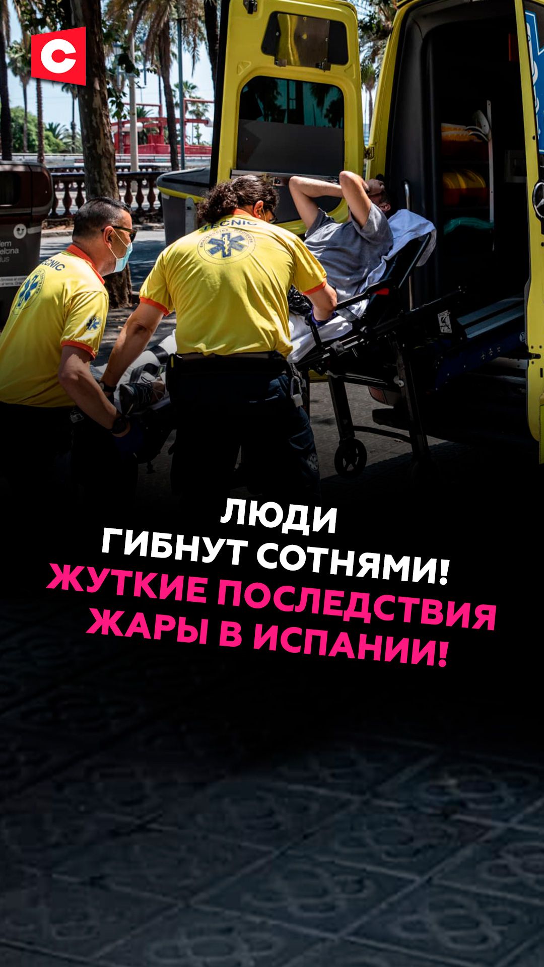Жуткие последствия экстремальной жары в Испании! #испания #погода #катаклизмы #чп #новости #ств