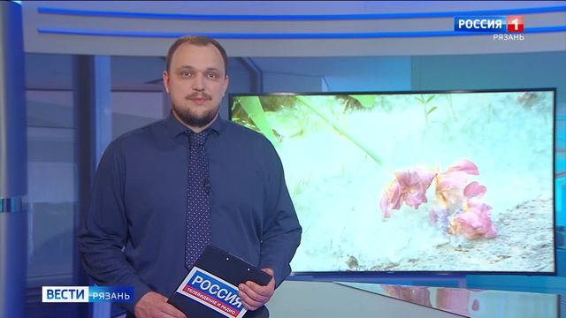 Эфир от 05.06.2026 (09:30)