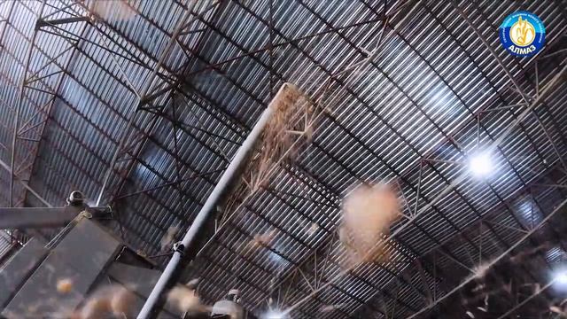 Алмазсельмаш единственный производитель зерноочистительных сепараторов Алмаз