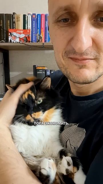 Брошенные коты #коты