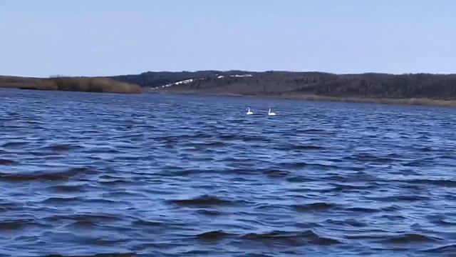 Природа Ямала глазами ребёнка