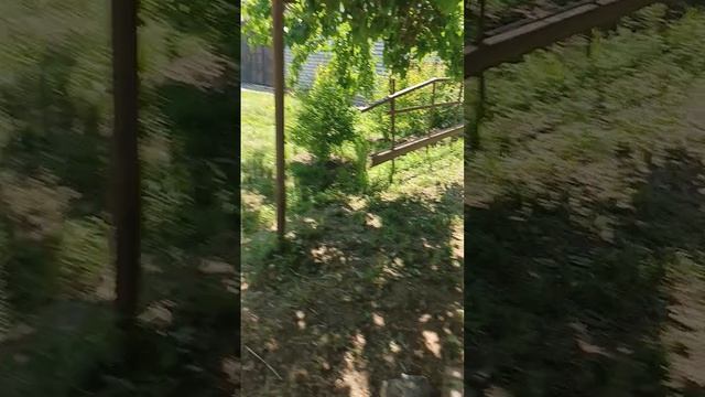 1000329479.mp4