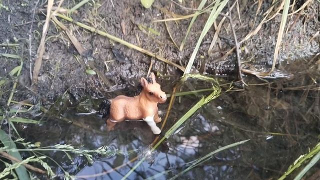 Влог с фотосета 😁