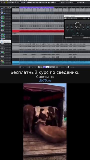 Заметка звукорежиссера №787. Аранжировка, сведение, мастеринг треков.