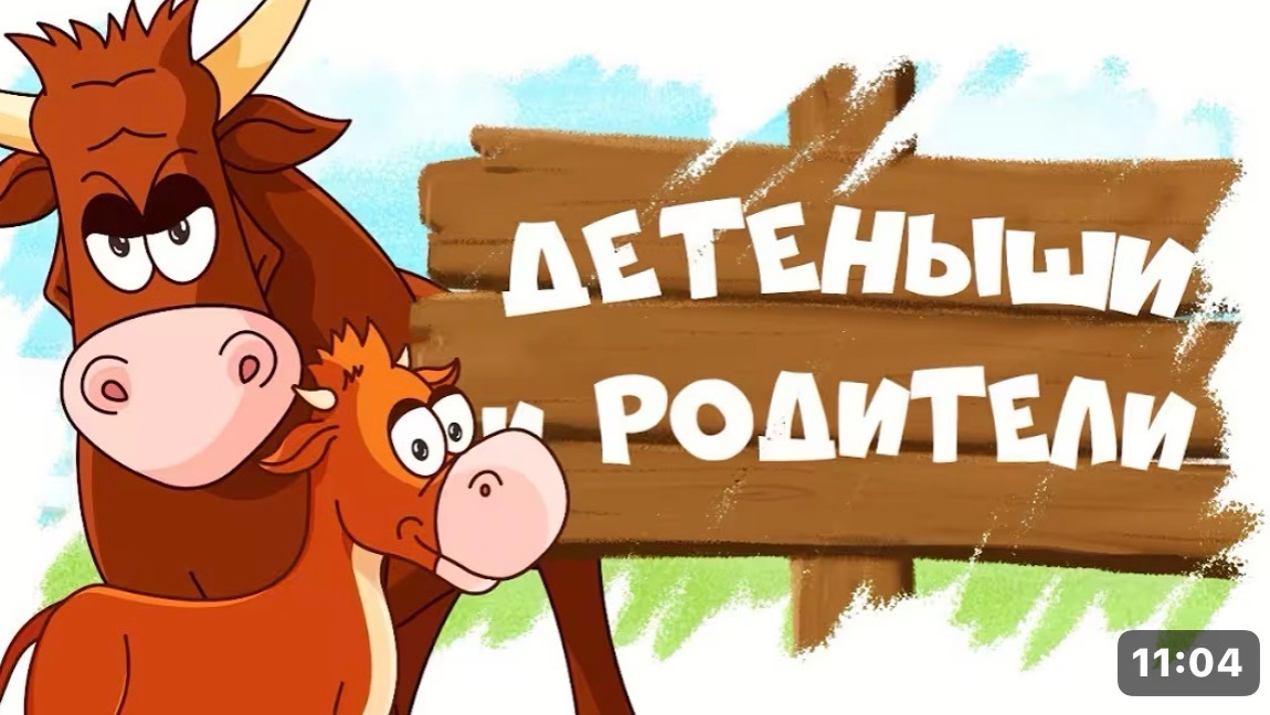 Домашние животные и их родители
