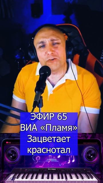 ВИА «Пламя» - Зацветает краснотал 1 Клондайс ЭФИР 65