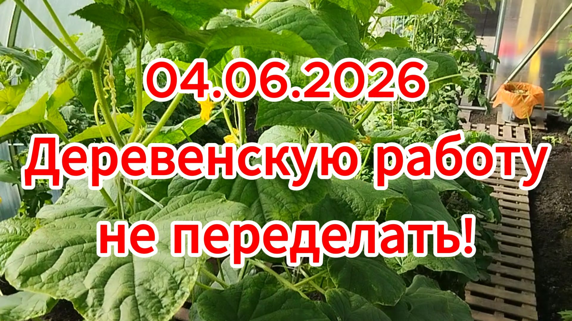 04.06.2026 Деревенскую работу не переделать!