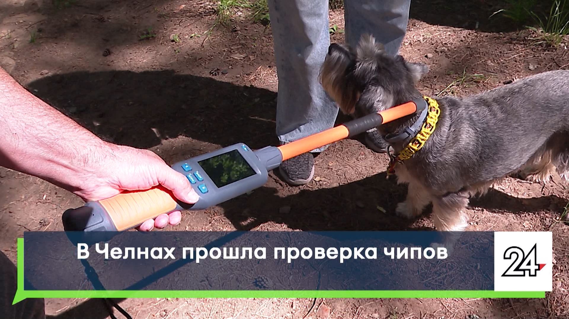 В Челнах прошла проверка чипов