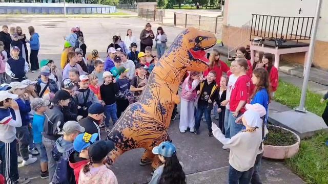 Video_15398116679606