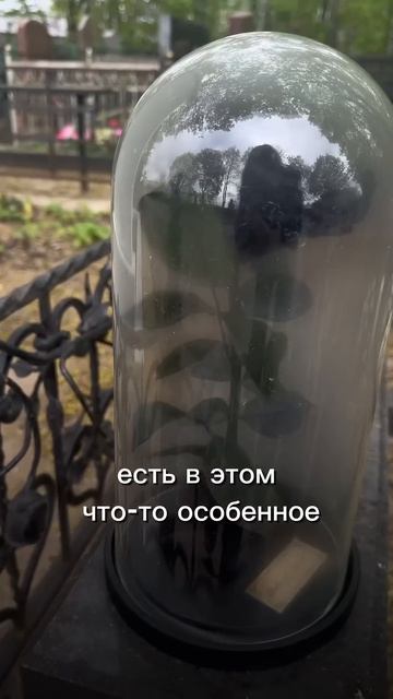 Такого я ещё не видела! Заказали необычный подарок на кладбище!