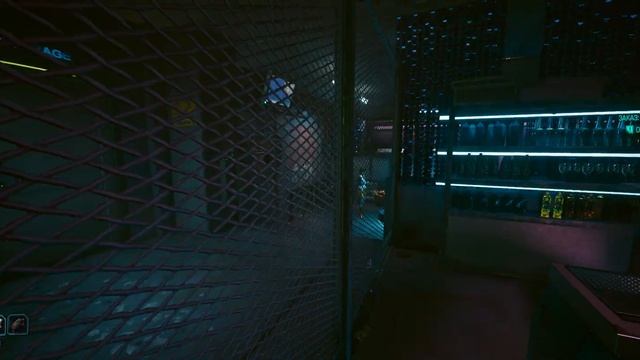 Cyberpunk 2077 #50 Заказ: Тигр и гриф