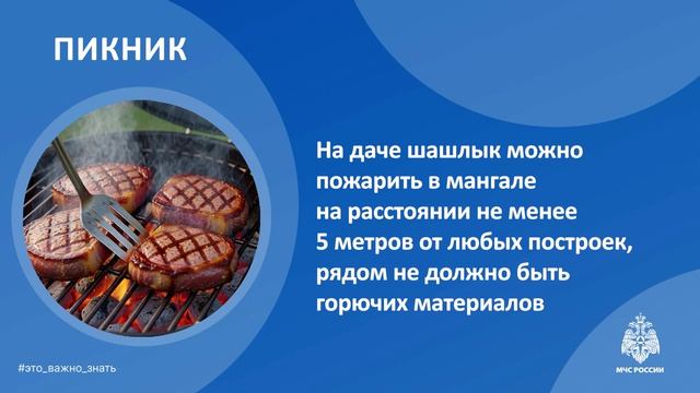 Пикник Детская Безопасность