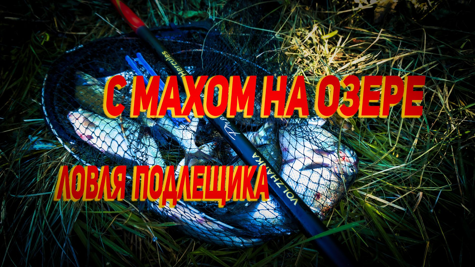 С маховой удочкой на подлещика. Волжанка Про Спорт Геркулес