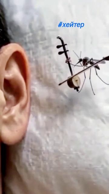 #хейтеры