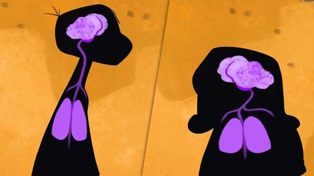 TED-ed. Placebo Effect