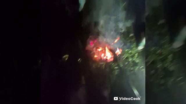 я с друзъями жару сасиски