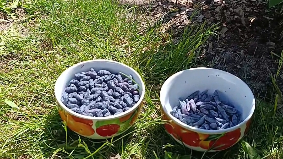 6 ИЮНЯ первые витаминки 😋